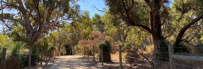 Conservation Projects