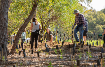 Conservation management