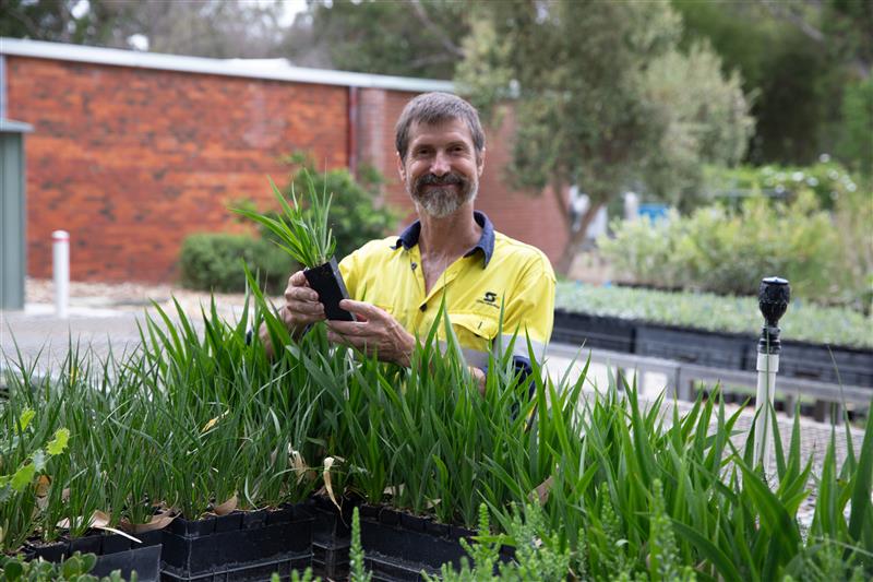 Living Green at Mirrabooka: Grow, Learn & Win