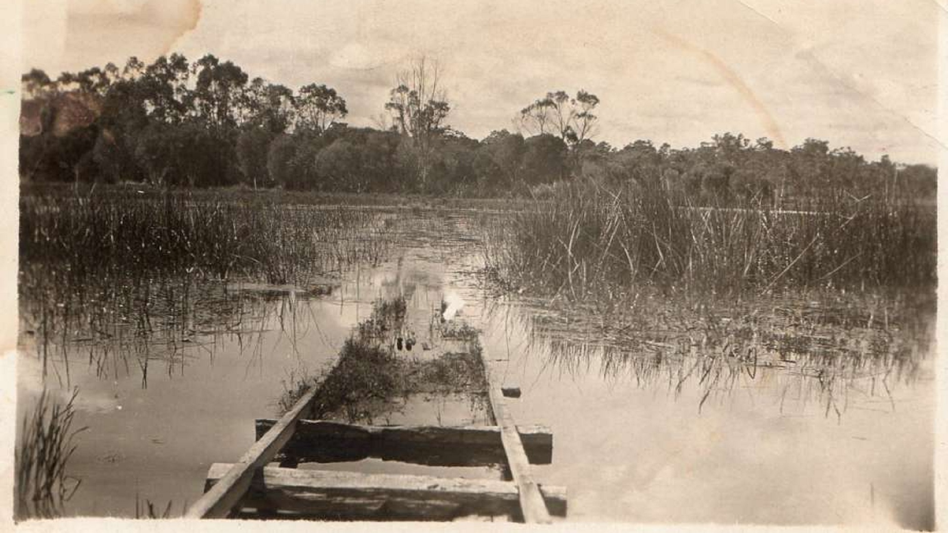 Water stories at Mount Flora Museum