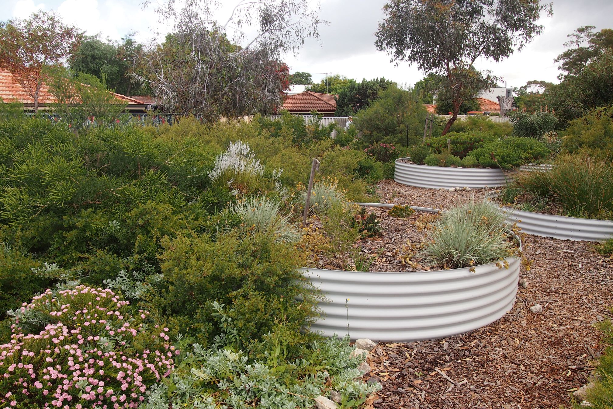 Brighton Road Community Garden Clean-Up Day