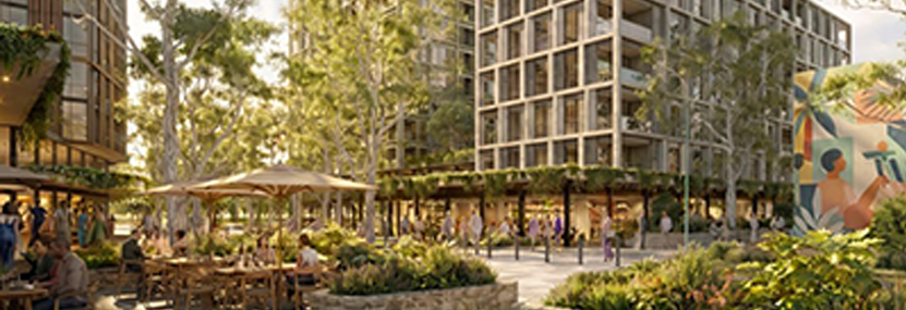 A concept design for the Dianella Centre Precinct Structure Plam