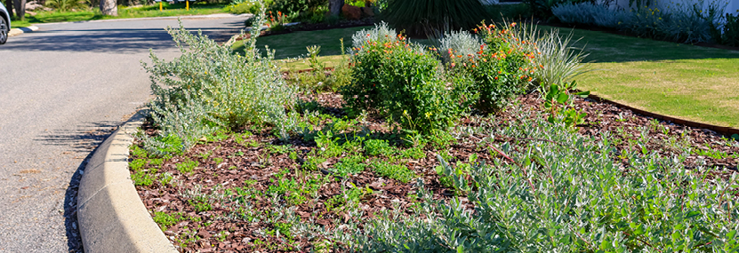A residential verge