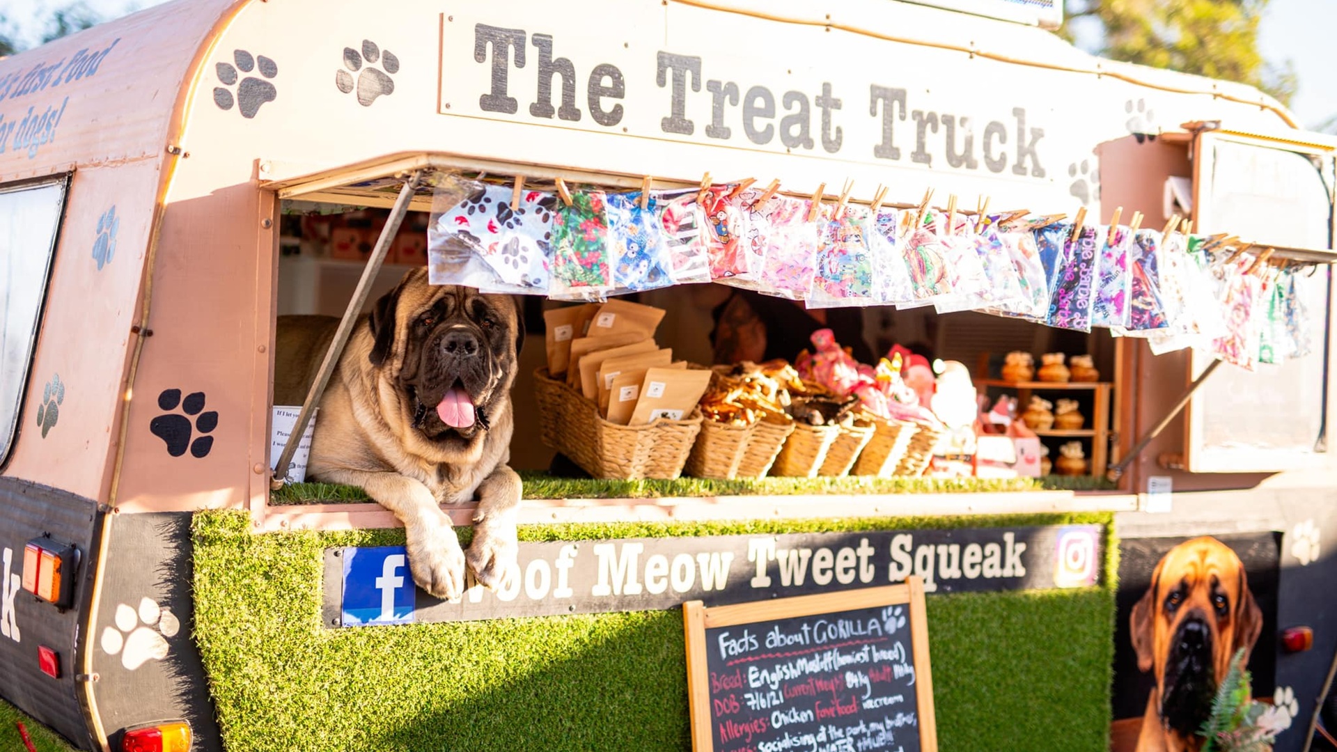 Free Community Grant Writing Workshops