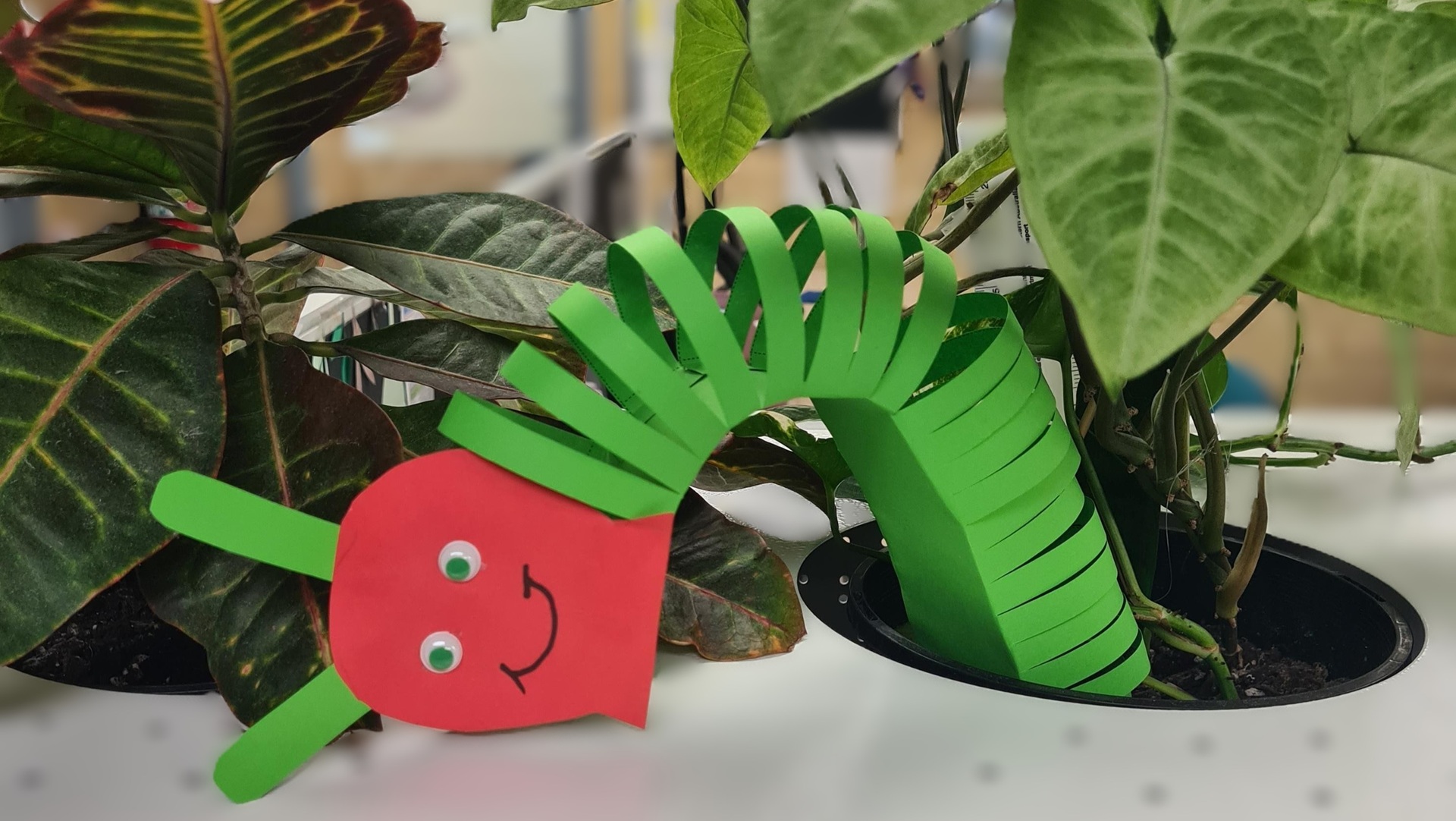July School Holidays: Insect Craft - Wiggly to Winged! Stirling Libraries - Mirrabooka