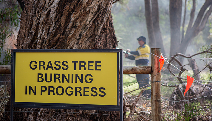 A sign that reads GRASS TREE BURNING IN PROGRESS with a man spraying with a hose in the background.
