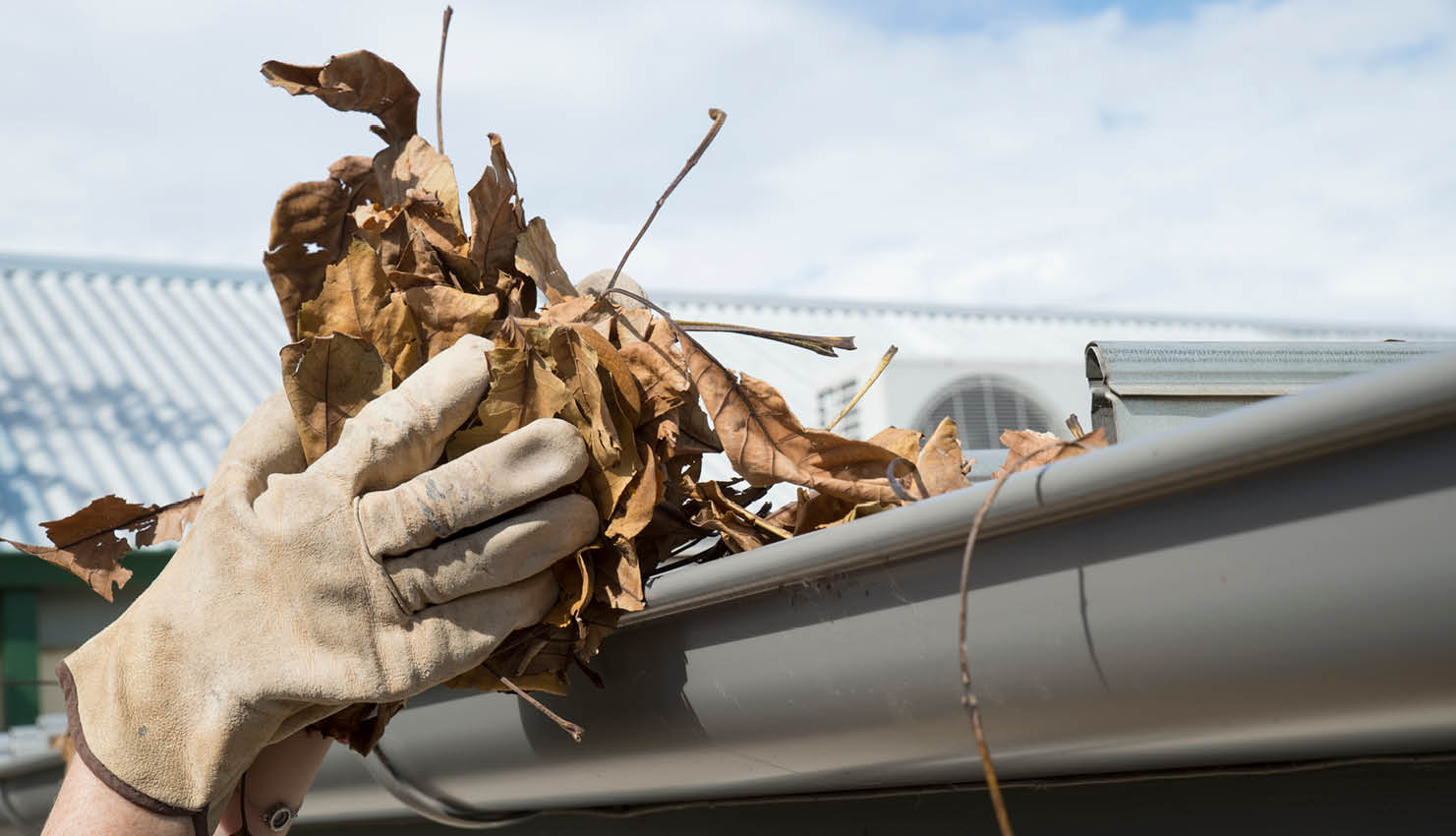 Image of leaves in the gutter of a house roof