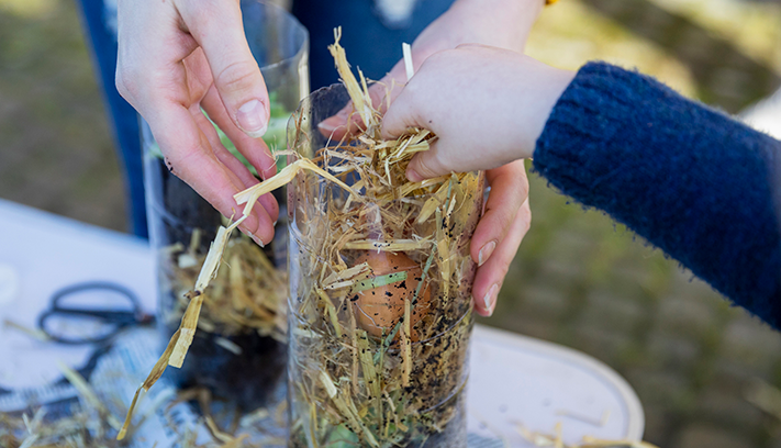 Lean how to compost in a bottle.