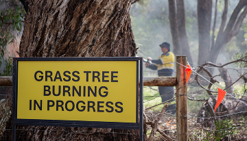A sign that reads GRASS TREE BURNING IN PROGRESS with a man spraying with a hose in the background.