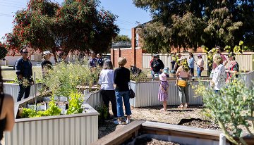 People exploring raised garden beds during a community garden open day, with visitors gathered throughout the garden and mature trees in the background.