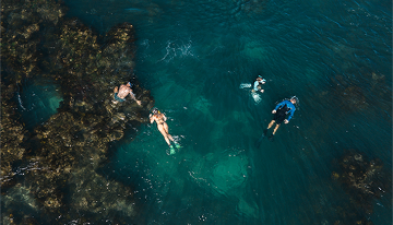 Snorkelling at Mettams Pool
