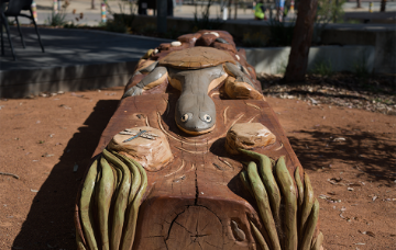 Yakkan (Turtle) in the Environment – Weitj (Emu) Maali (Black Swan) by Dan Iley