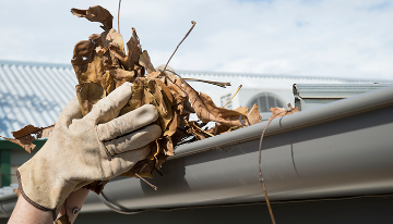 Leaves getting picked up from house gutter