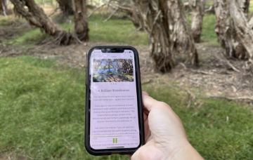 Nature reserve play trails near Perth – family-friendly outdoor adventures with interactive paths, native bushland, and fun activities for kids.