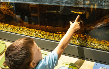 Herdsman Lake Wildlife Centre