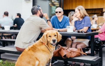 Golden retriever sitting beside outdoor café seating, with people gathered at picnic tables in the background.