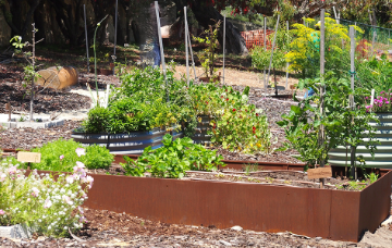 Coastal Community Garden.