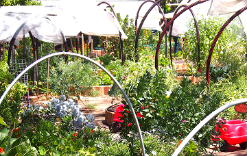 Joondanna Community Garden.