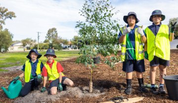 World Environment Day planting