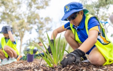 World Environment Day planting