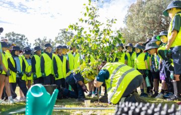 World Environment Day planting