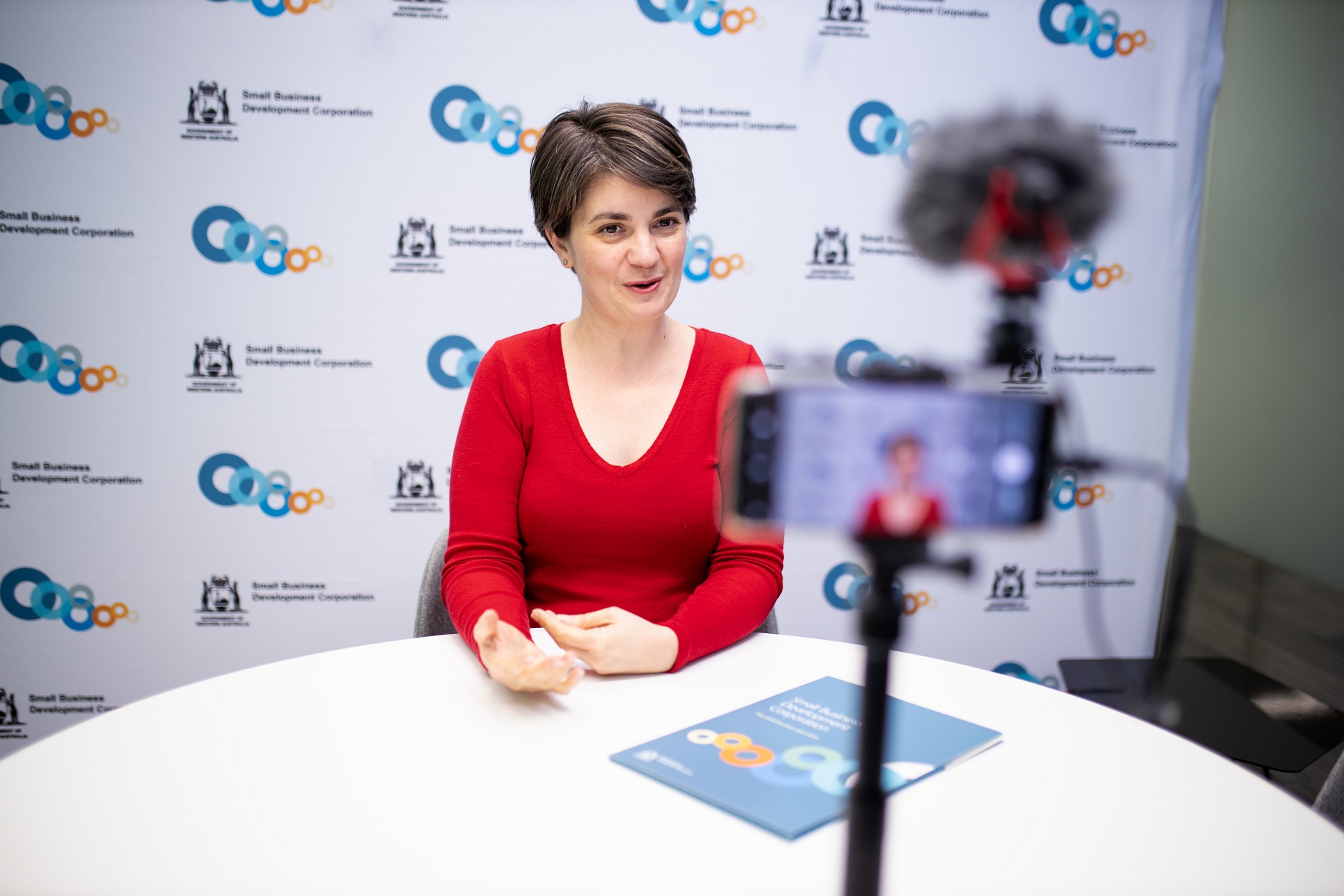 Starting a Business Workshop (Small Business Development Corporation)