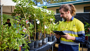 Registrations for our Free Trees and Plants program open this month.