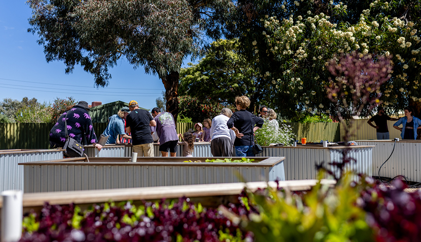 Living Green: Campion Community Garden Tour