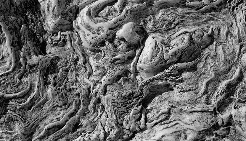 Nature Printmaking: From Bush to Beach