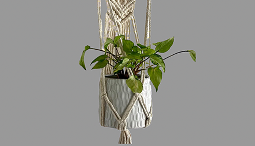 Macrame Plant Hanger Masterclass