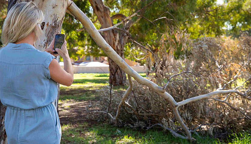 Living Safely: Park Safety Drop‑In and CPTED Walkthrough 