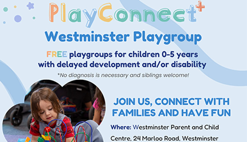 Westminster PlayConnect+ Playgroup
