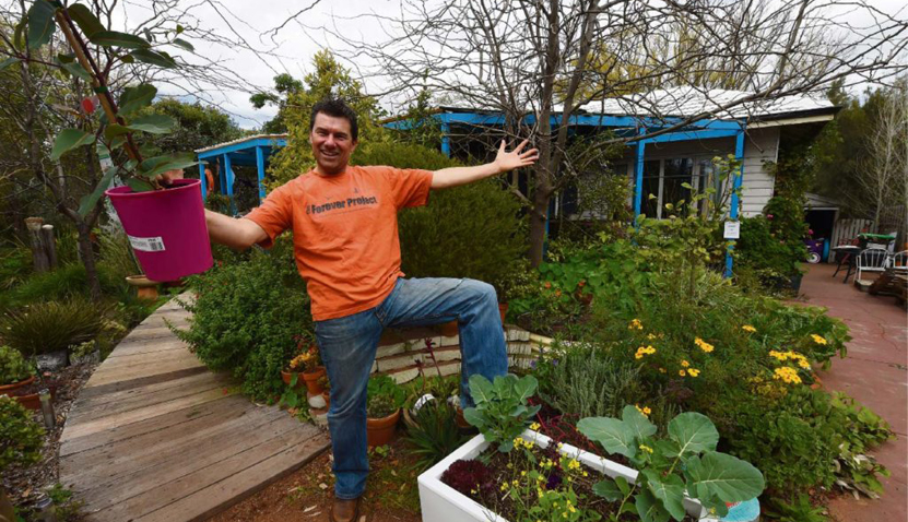 Right Tree, Right Place