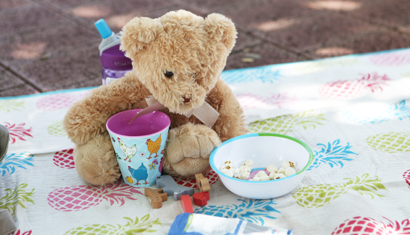 Ranger's Teddy Bear Picnic