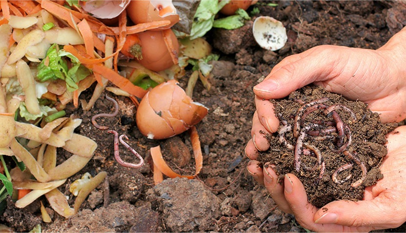 April School Holidays: Build Your Own Worm Farm!