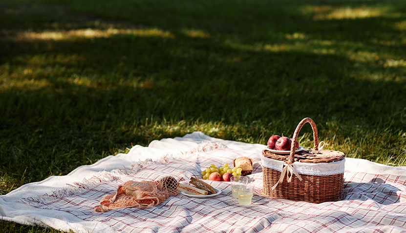 Living together: Neighbourhood Picnic