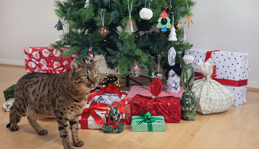 Wrap Happy Co Sustainable Gift Wrapping Pop-Up Session