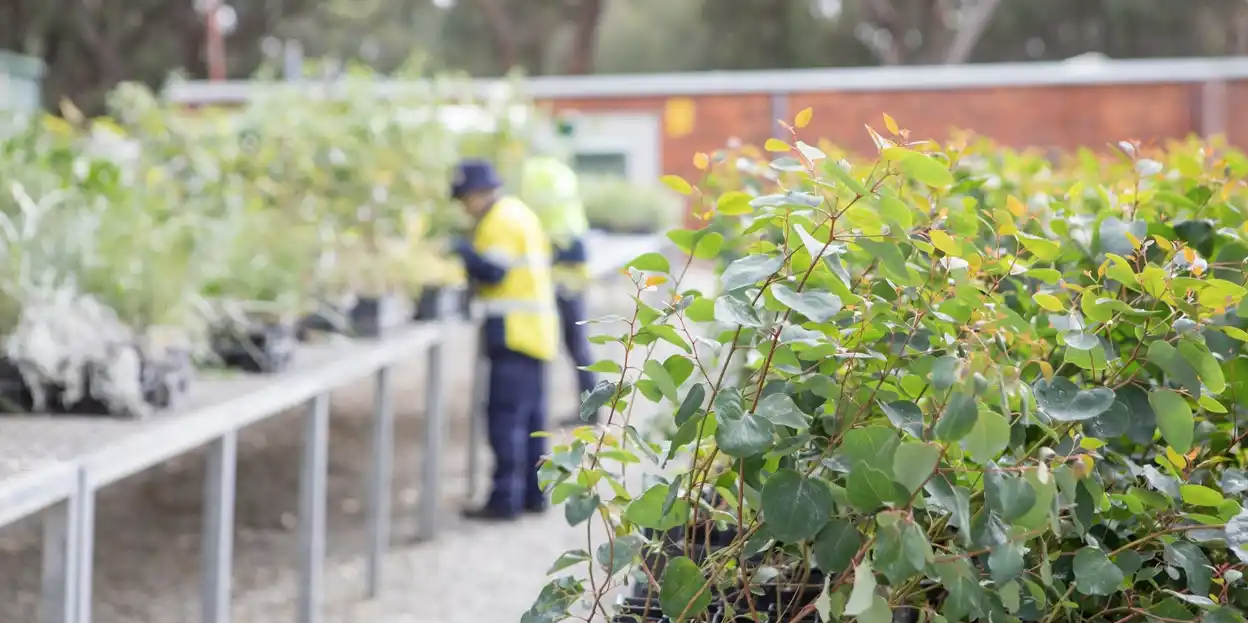 City of Stirling Nursery Tour