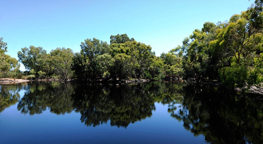 Shearwater Reserve