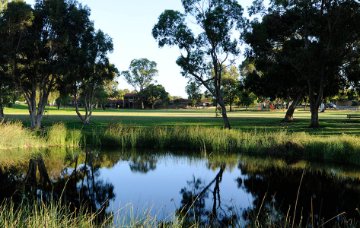 Colin Ventnor Reserve