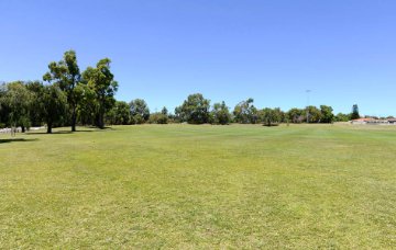 Dryandra/Pendula Reserve