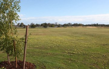 Hertha North Reserve