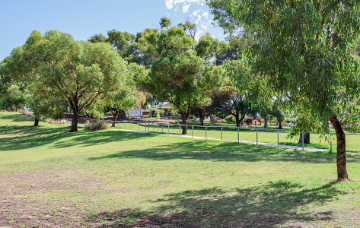 Rickman Delawney Reserve