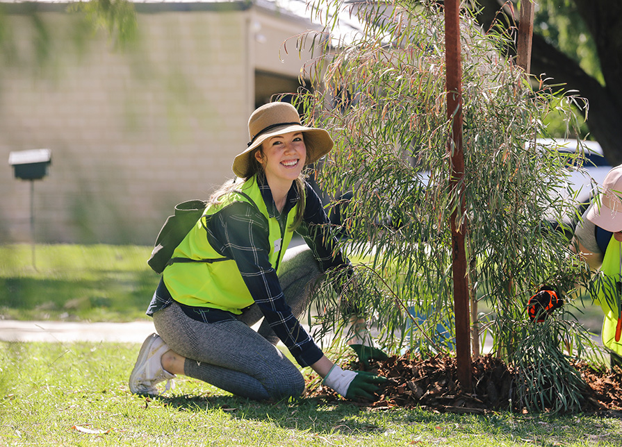 PRK_Tree-Planting_895x644.jpg