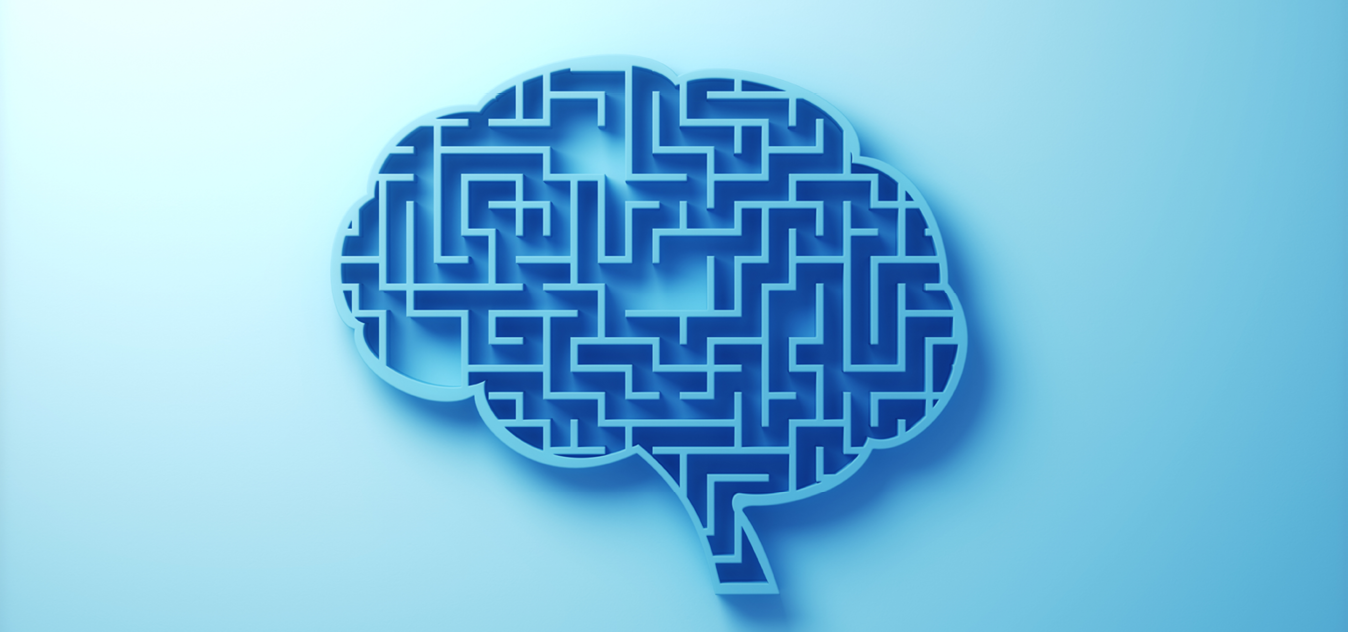 A maze that resembles a brain