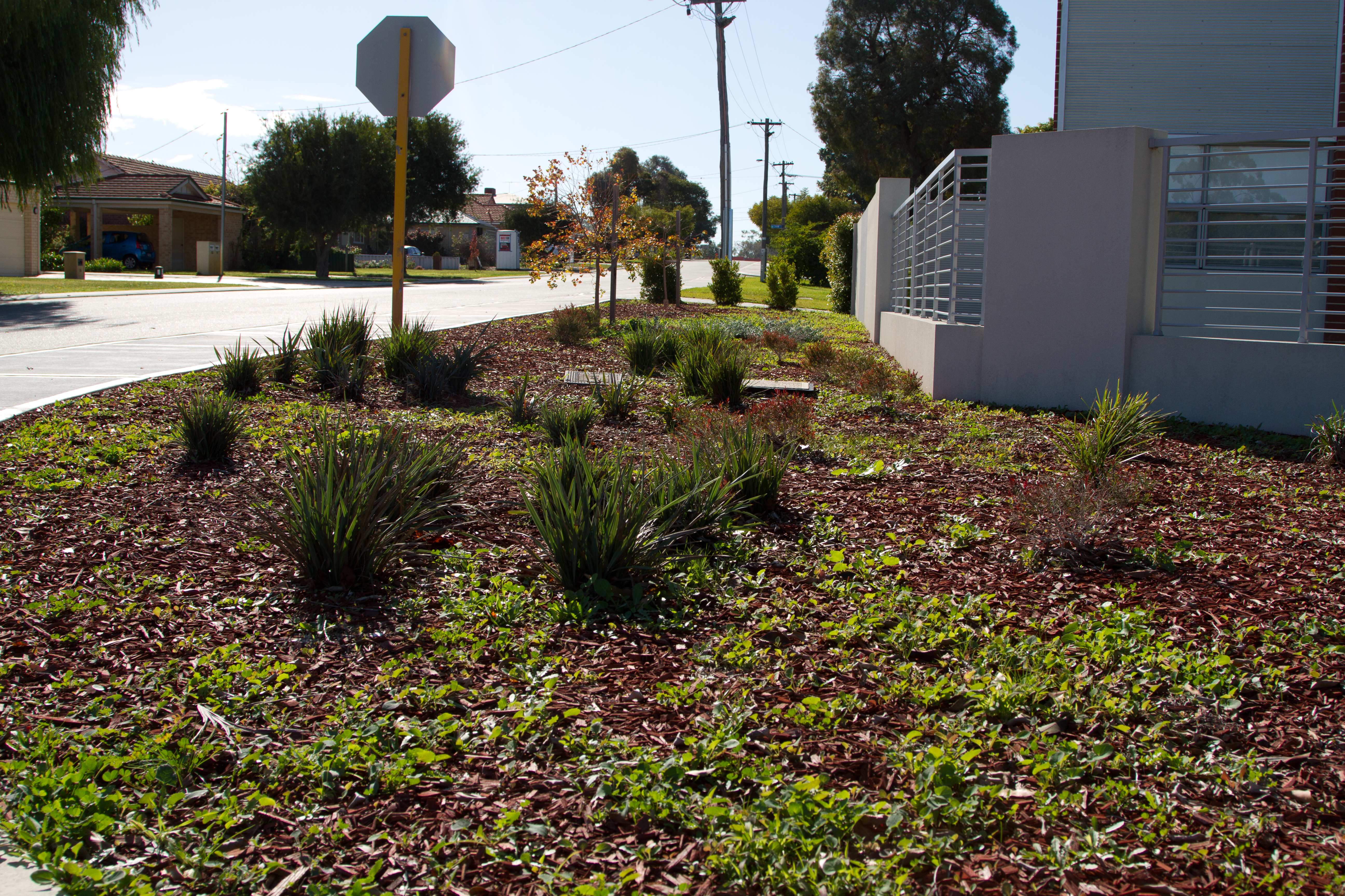 Welcome to On the Verge!